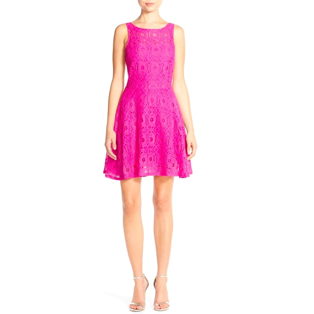 NWT BB Dakota Hula Pink Lace Fit and Flare Dress